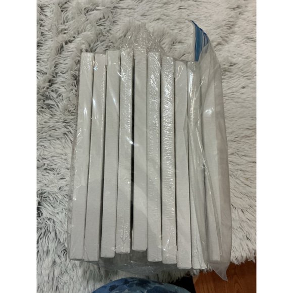 Super Value 8x10 Stretched Canvas 10 Pack Triple Primed White Art Supplies - Picture 7 of 8